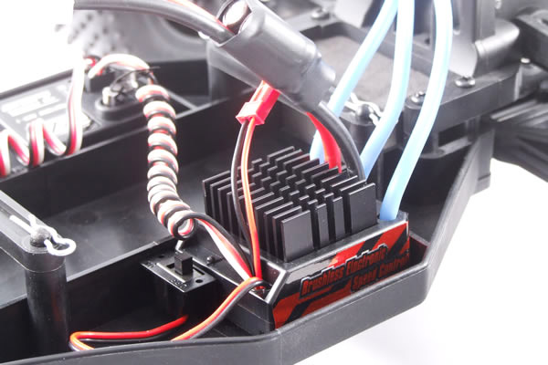 stinger5.jpg